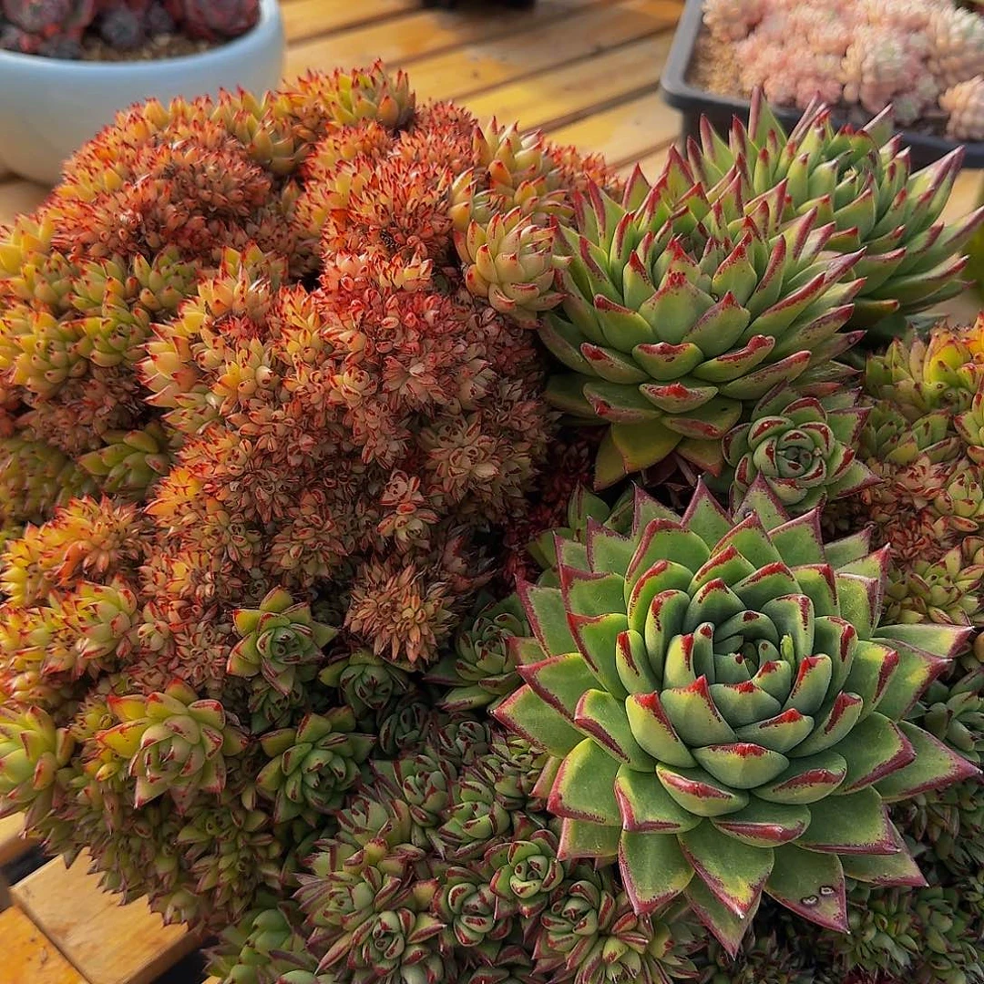 前**事啦啦啦啦咯哦哦哦哦哦哦哦哦哦哦