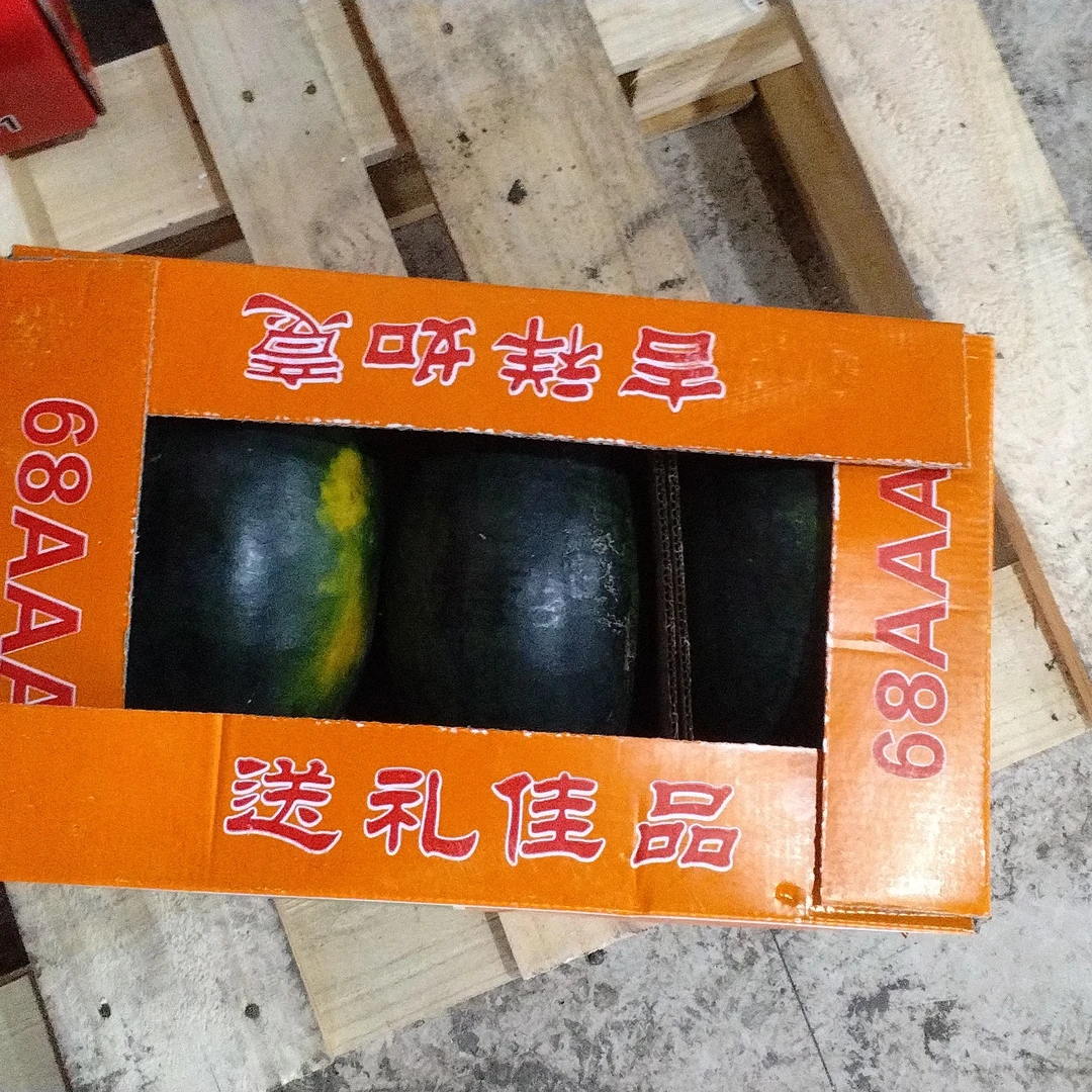 黑美人西瓜50一箱