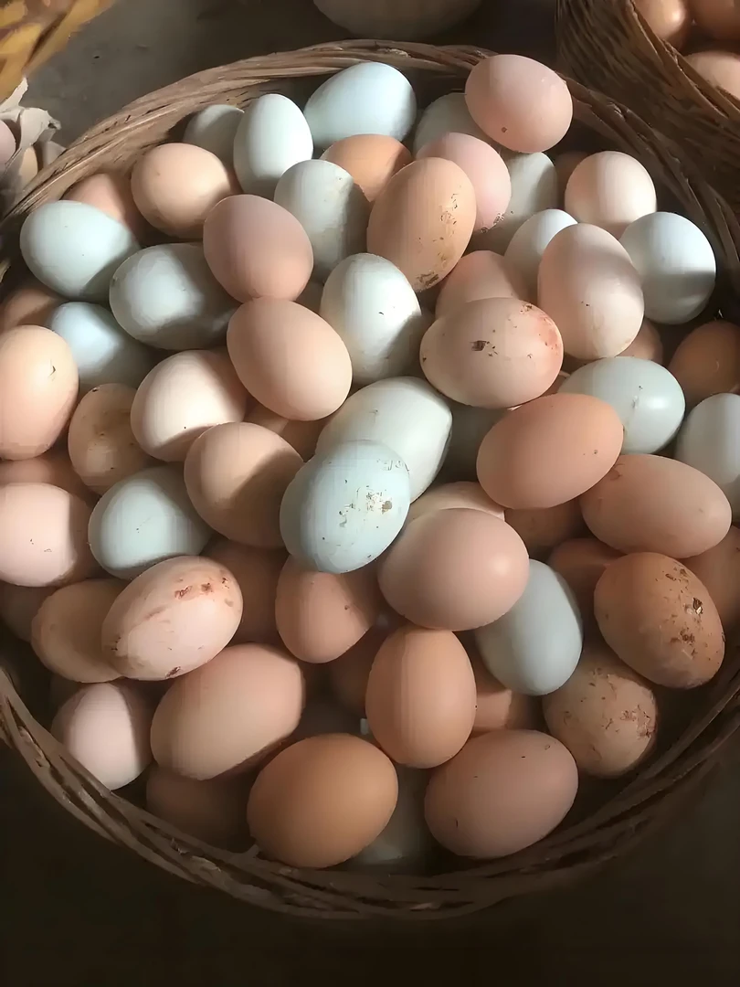 瑶乡小婷农家土鸡蛋