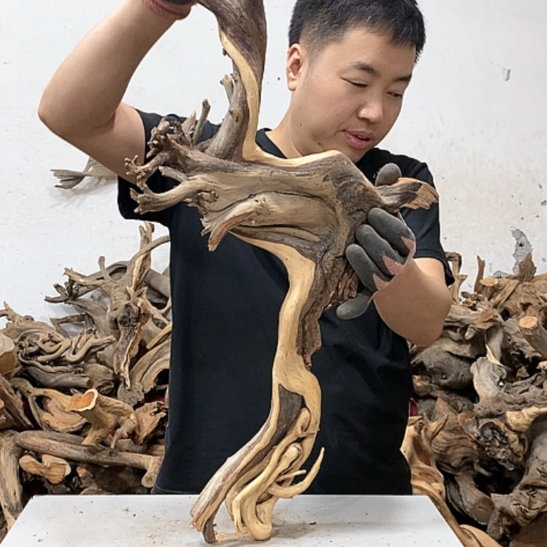 【闪购商品】柏木皓**空我们都是好孩子