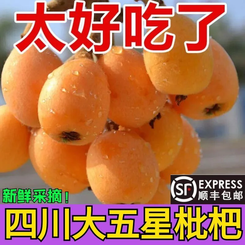 【顺丰包邮】新鲜水果四川枇杷五星精选大果高山当季孕妇琵琶整箱