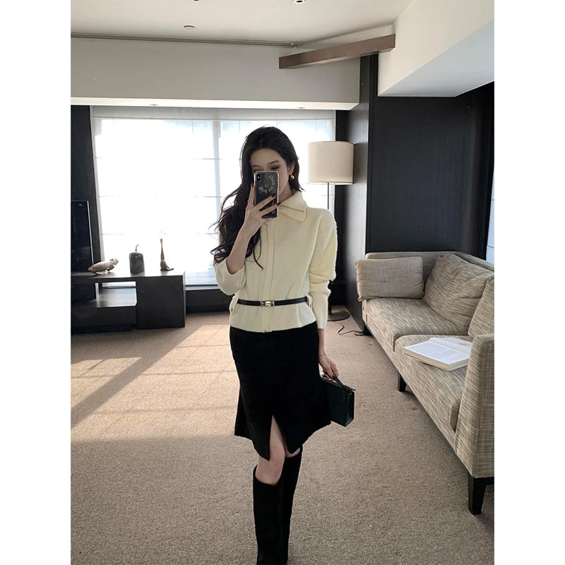2025御姐洋气时尚高级感翻领休闲百搭长袖上衣高腰开叉半身裙套装
