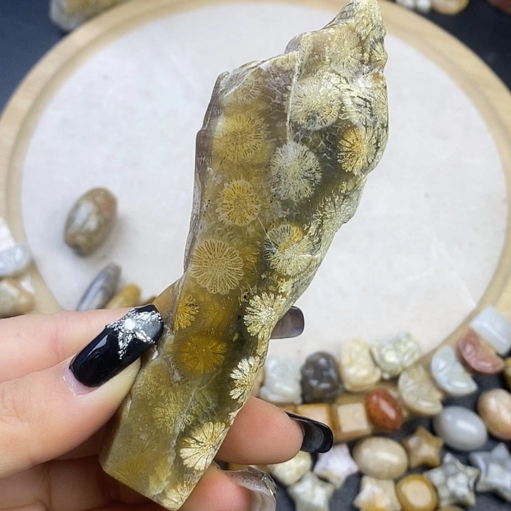硅化玉未镶嵌颈饰