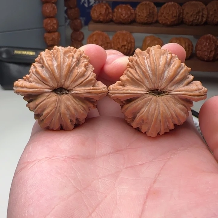 L42-39-37一代楼S2号