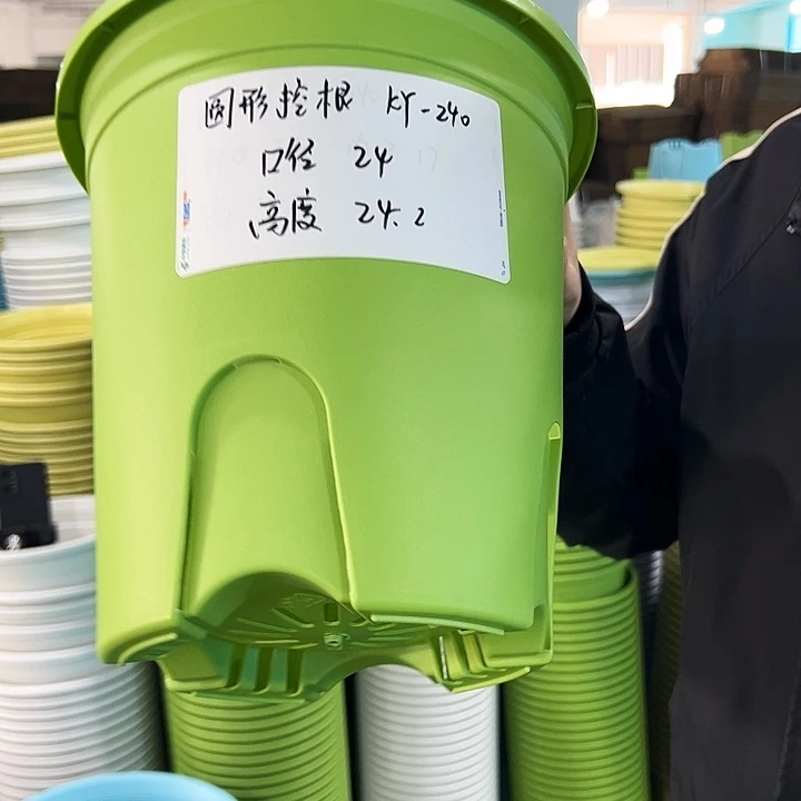 正品圆控口24高24果绿无托8只