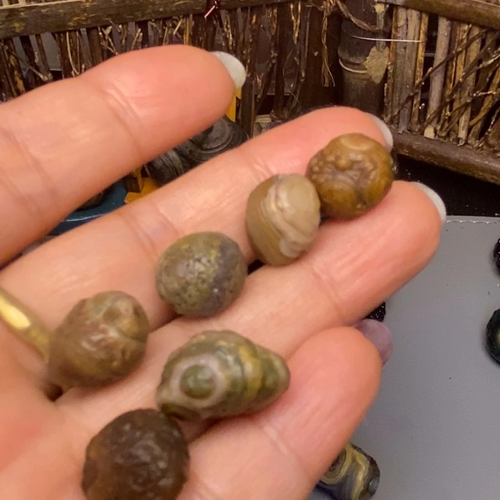 石材售出不退不换