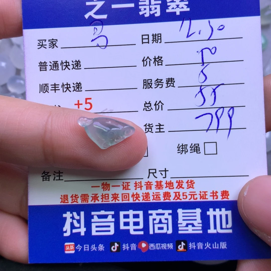 颈饰未镶嵌翡翠鮑****饰