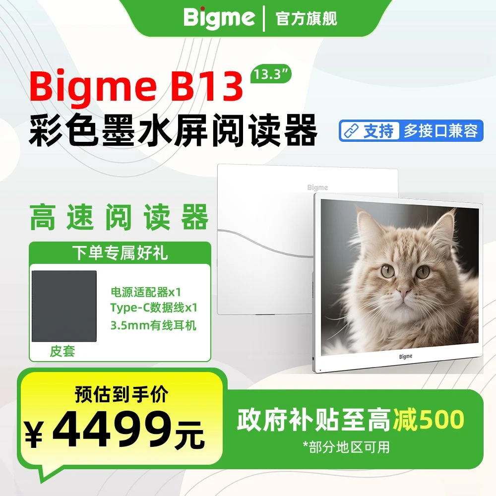BIGME 大我 B13彩墨屏 13.3英寸彩色墨水屏智能办公本高清电纸书