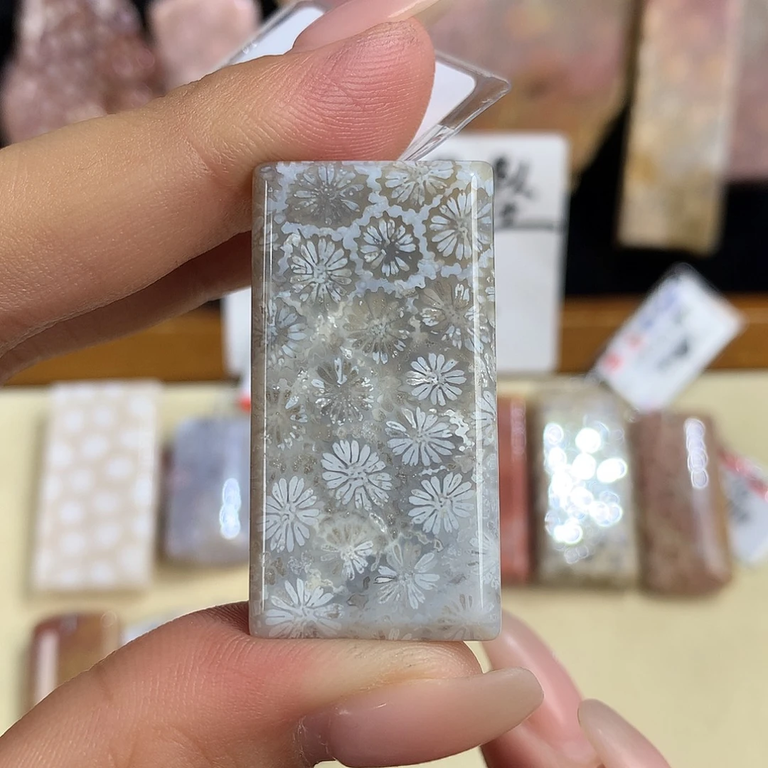 颈饰未镶嵌硅化珊瑚（珊瑚玉）1号上新