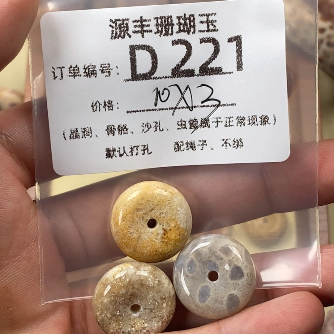 种***子硅化玉未镶嵌颈饰