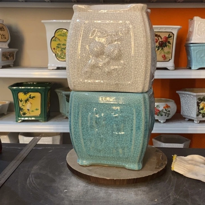 红陶米****y花盆里的小猫咪