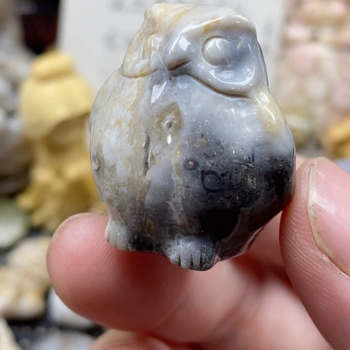 颈饰未镶嵌硅化珊瑚（珊瑚玉）没打孔 小