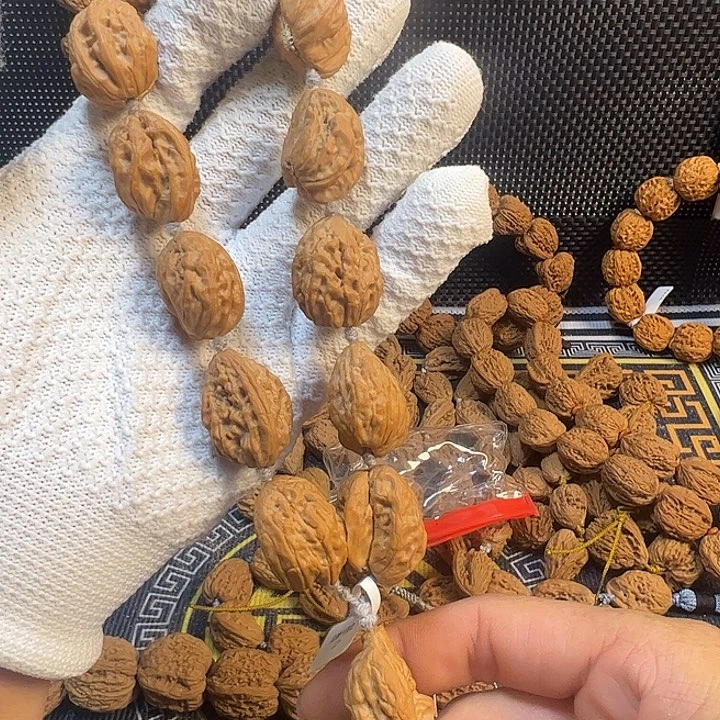 用***4白狮子姐姐姐姐姐姐了