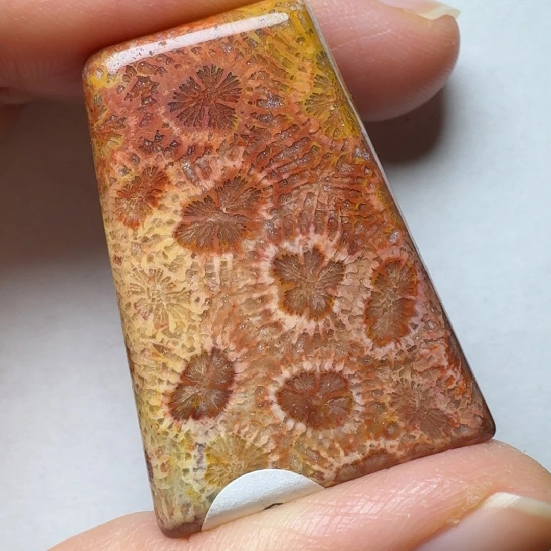 硅化玉飘点黄的红色蝴蝶花未镶嵌