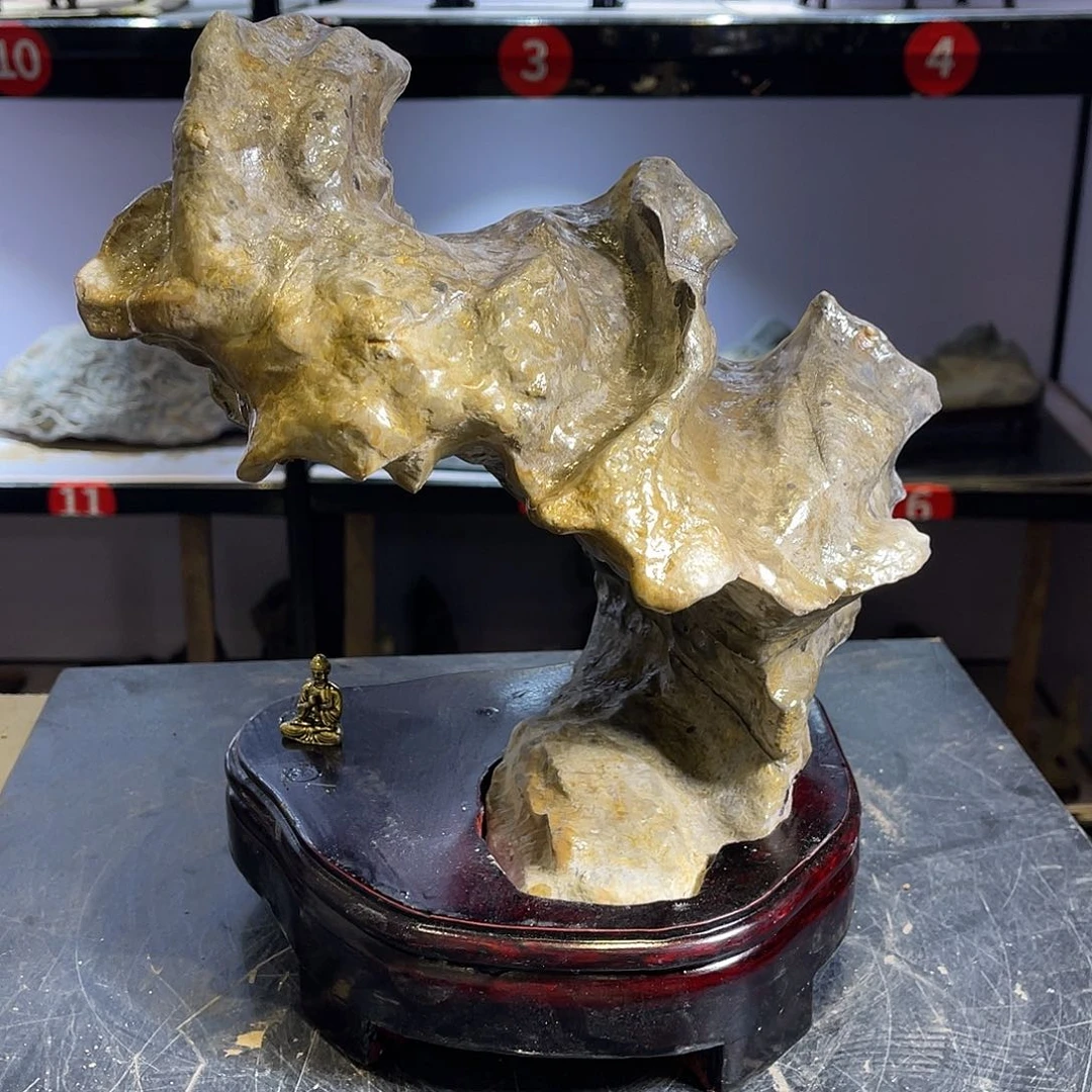 紫砂我也不知道自己为什么想啊*哥