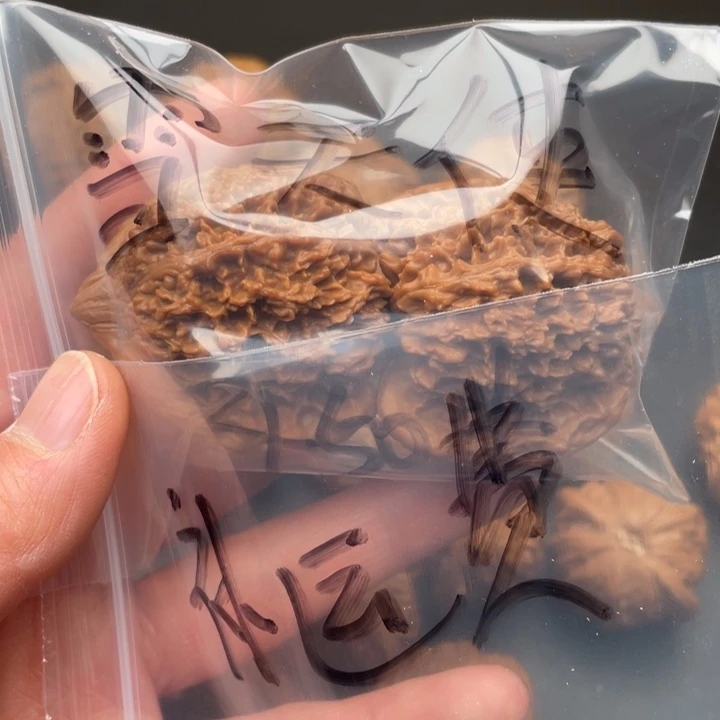 雪***使文玩核桃吊坠满天星46尺补运费