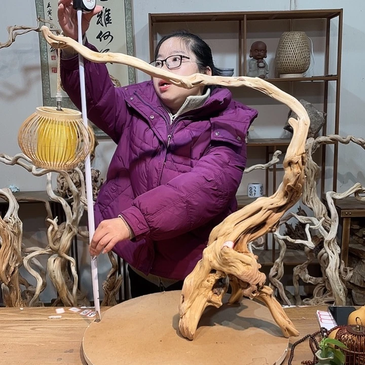 木杜鹃根天然根艺5