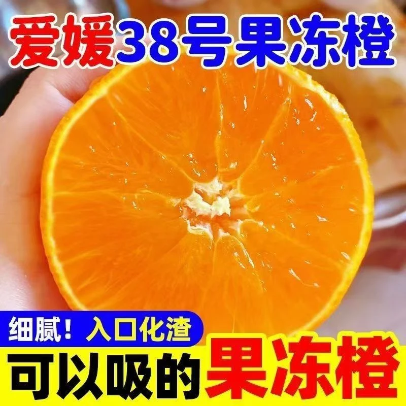 四川爱媛38号果冻橙新鲜当季水果类手剥橙子【四川、昆明多仓发货】