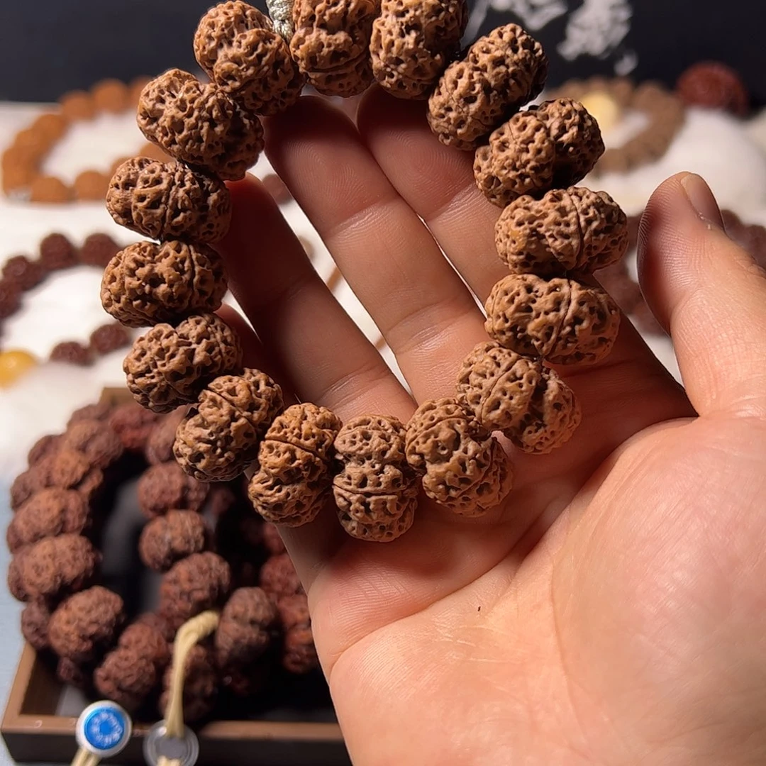 手串金刚菩提古龙梅花超头夹板23