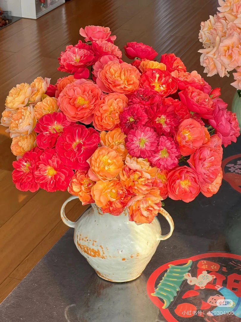 （盛间春世）多头玫瑰-混色果汁10支三件顺丰空运20%不售后