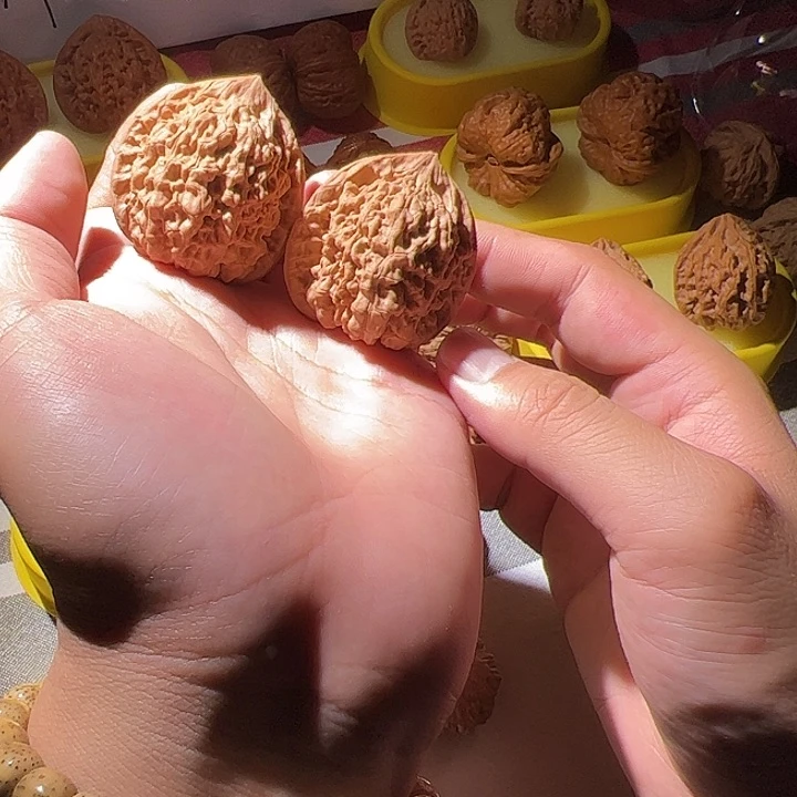 豆*饭麒麟纹官帽核桃