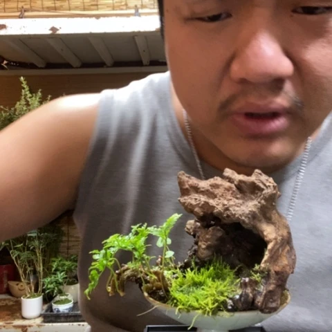 红陶张***嘻一物一拍所见即所得194