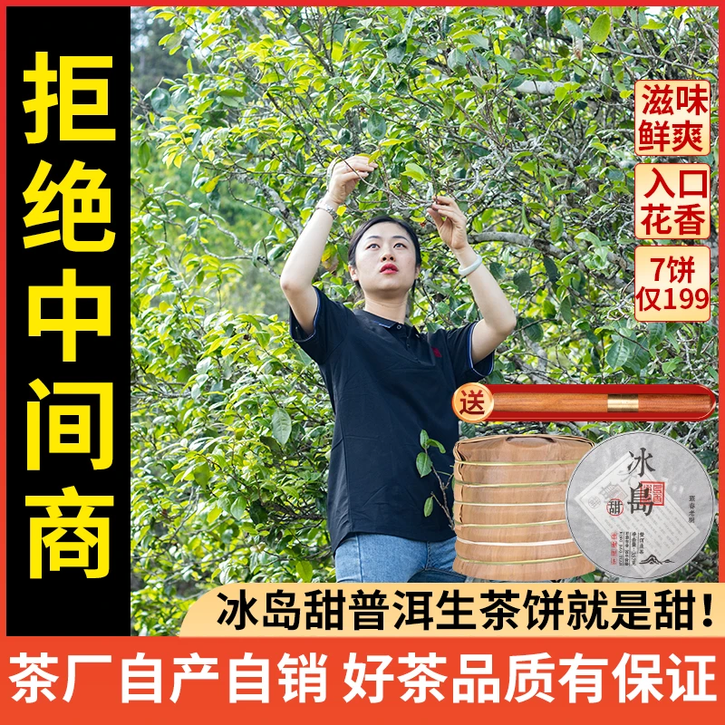 茶厂直销 2020年冰岛春茶原料压制5年干仓存放陈化 价格低品质好！