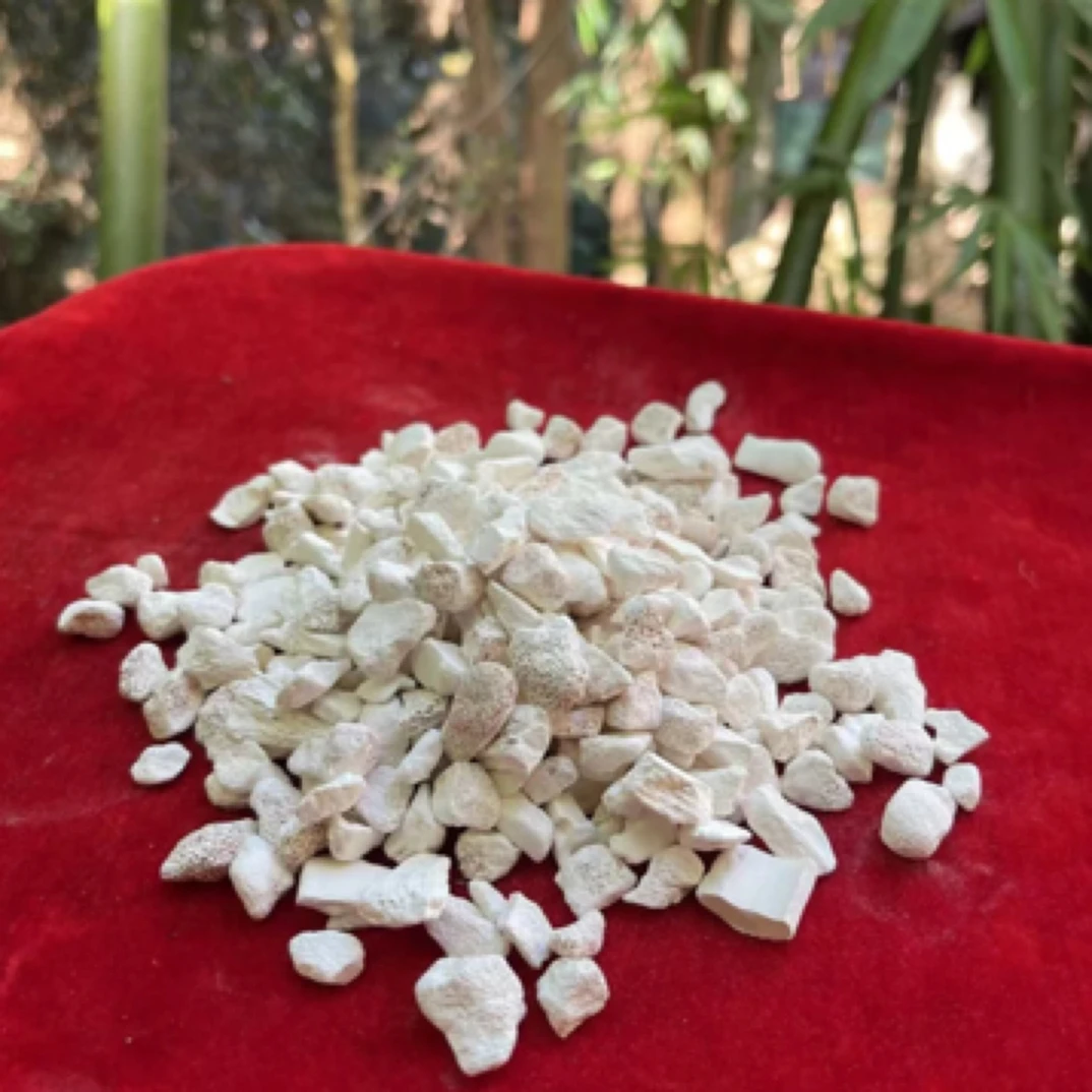 山货 龙-骨~下山好货