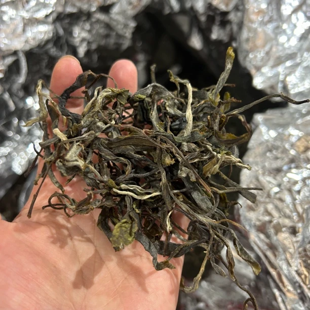 【15号单株】2025年春所有单株通用链接100克散茶（卖完一棵上一棵）