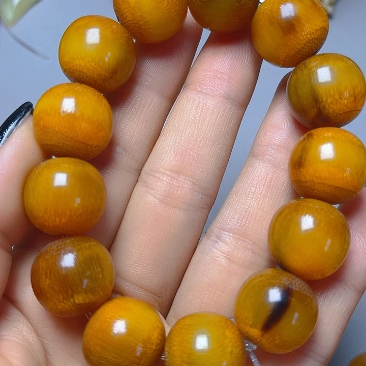 大果紫檀（缅甸花梨）