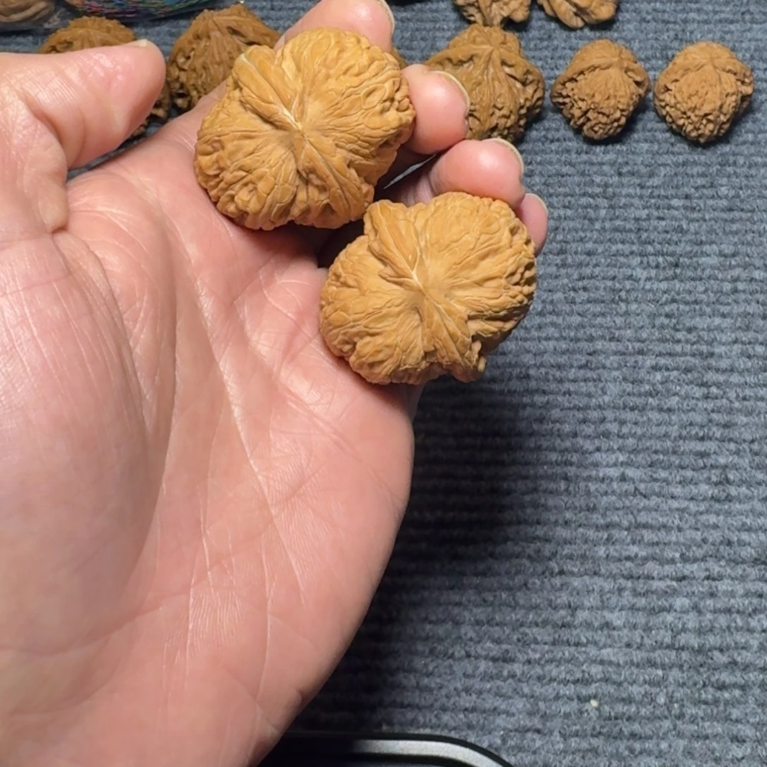 文玩核桃把件元宝福利43尺