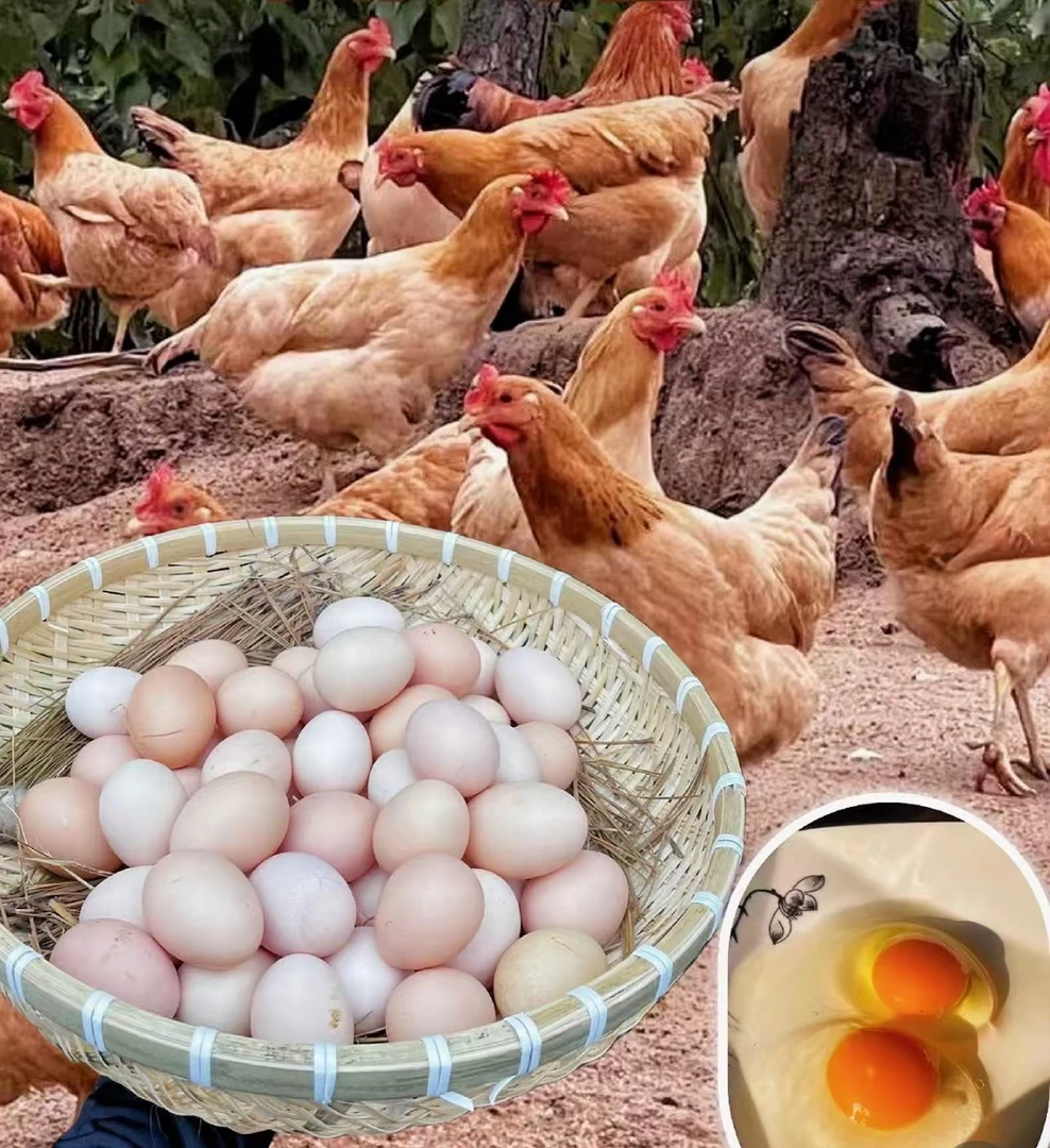 农家散养土鸡初生蛋新鲜健康美味
