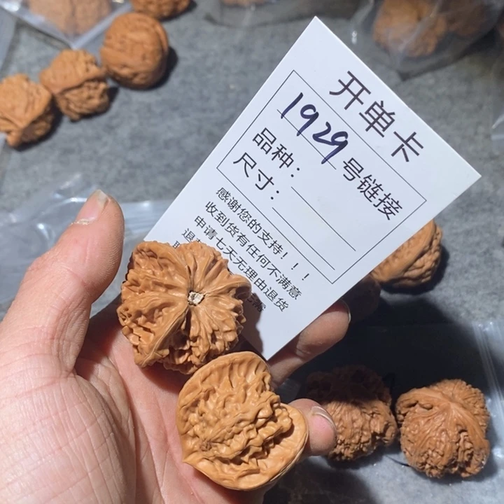 文玩核桃把件小***毛1929救救我我哦哦哦哦