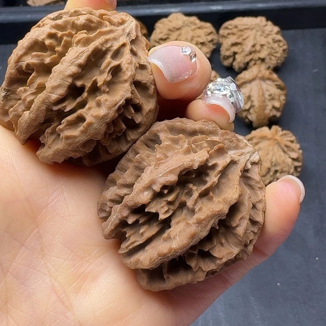 桃木突突突突突突突