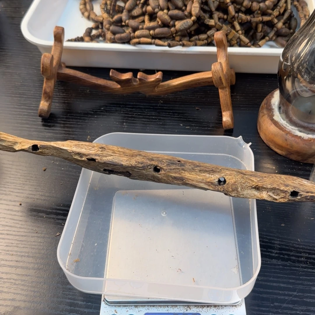 线香奇楠虫漏棍料48克