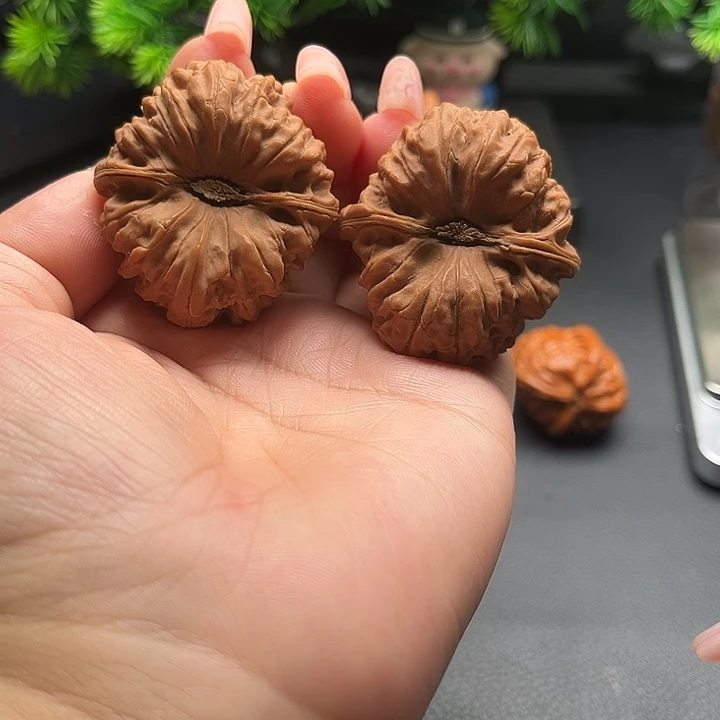 核桃41平谷凹底全品