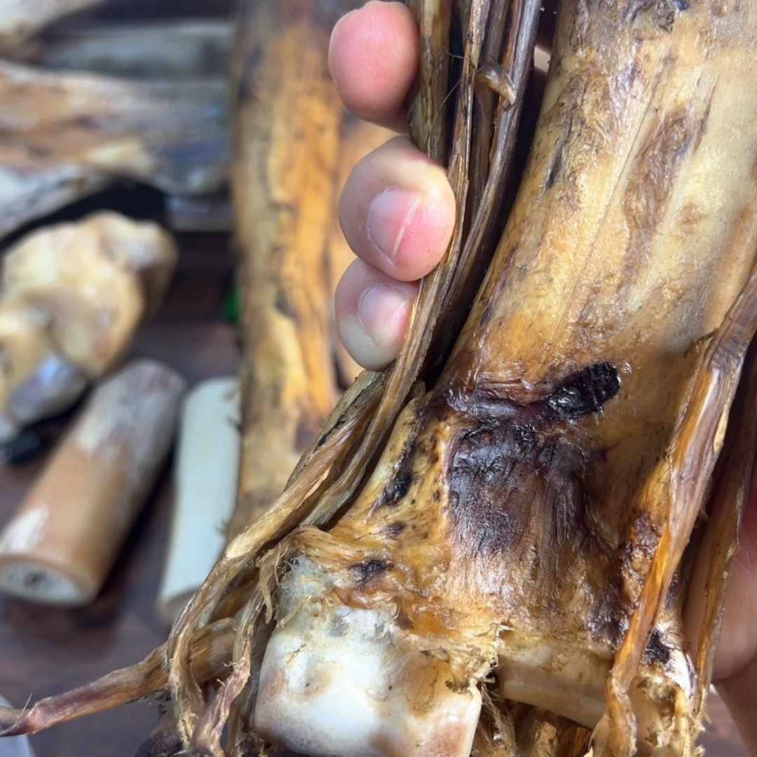 用****6hhhu带筋整个一半