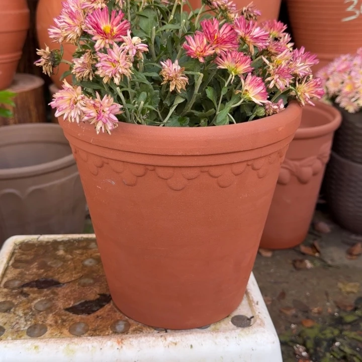 紫砂花盆口24高23宜兴紫砂