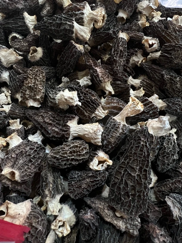 爆纹厚肉六妹羊肚菌0528