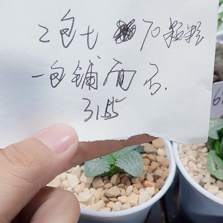 两包土一包铺面石