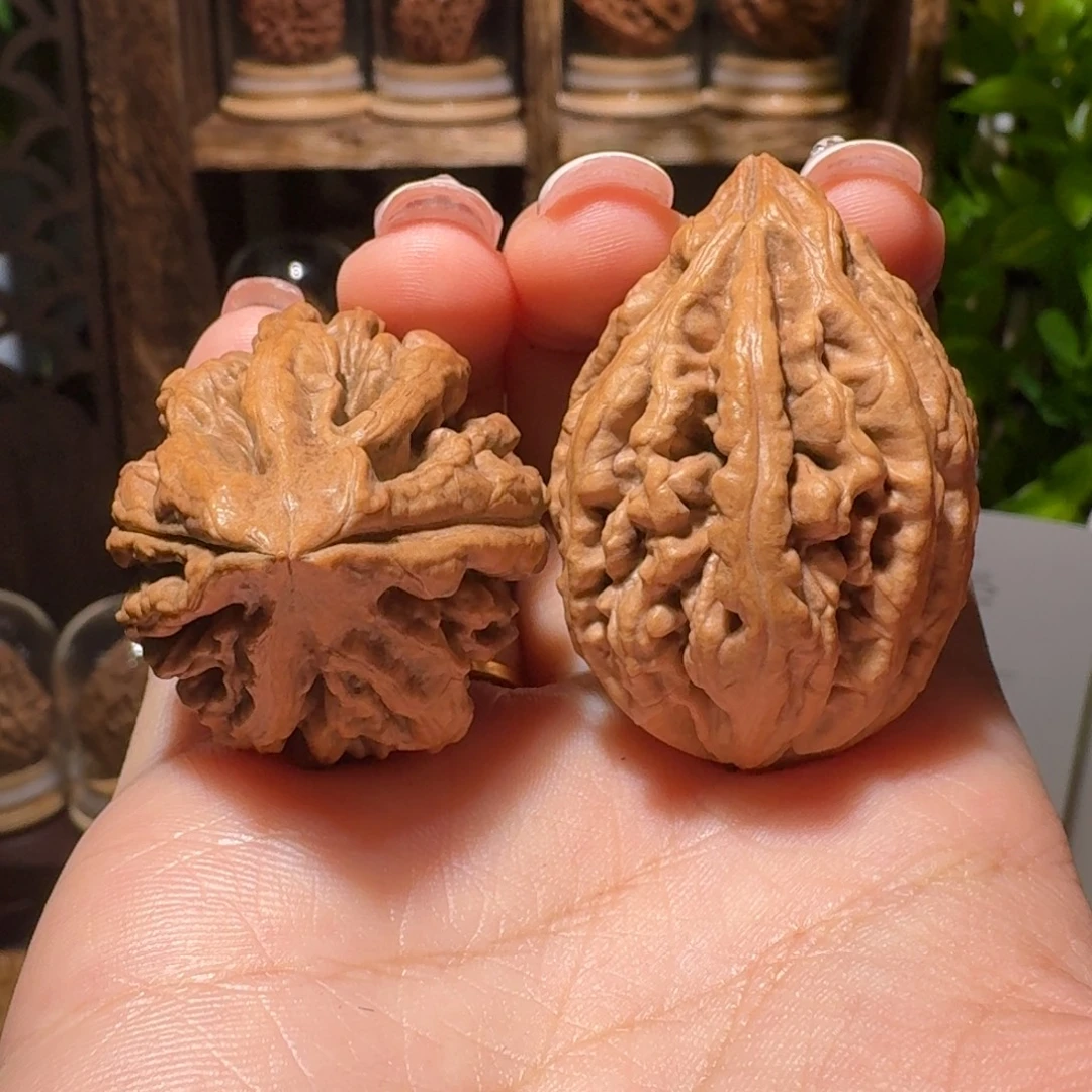 文玩核桃把件蝴蝶豆火