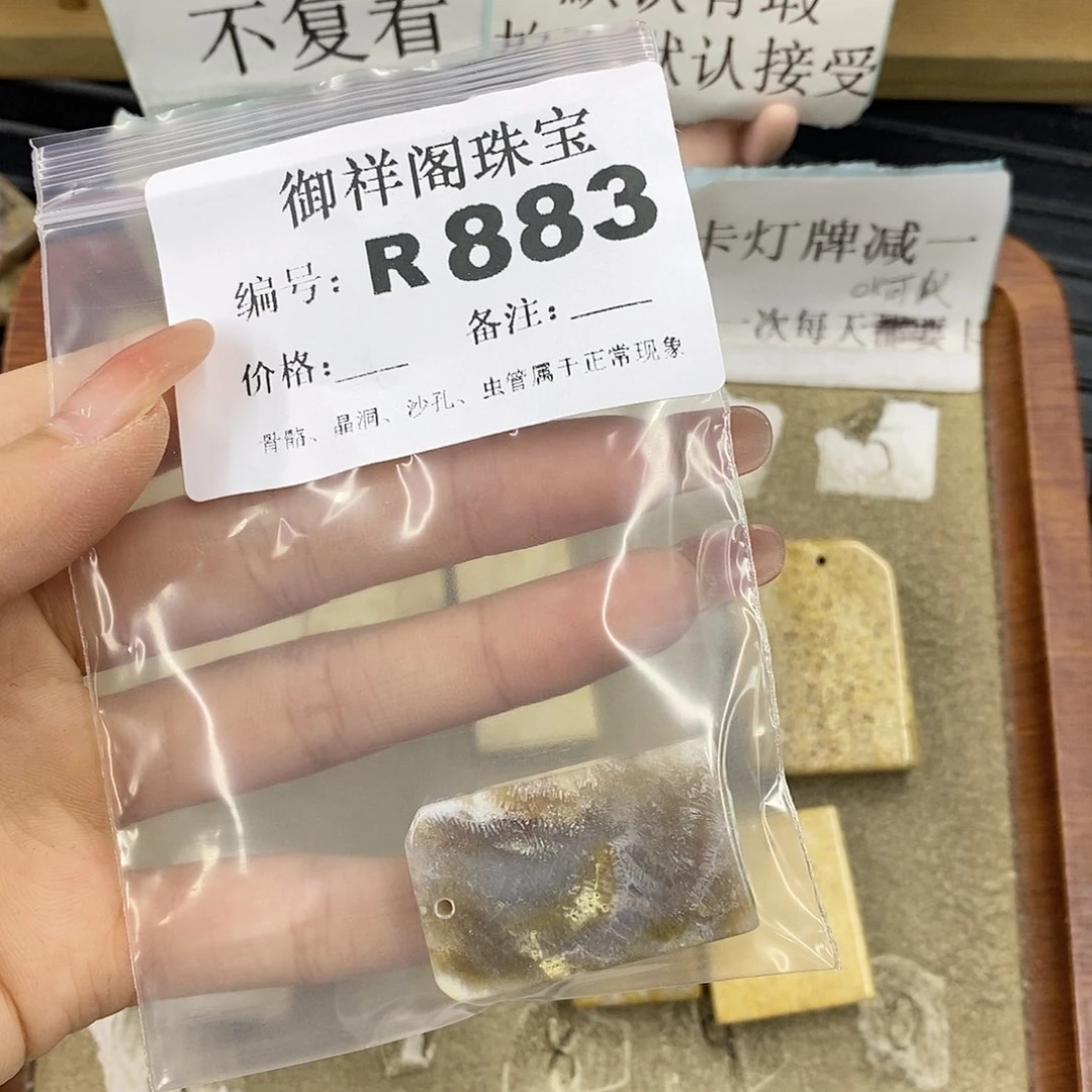 硅化珊瑚（珊瑚玉）未镶嵌颈饰?****?