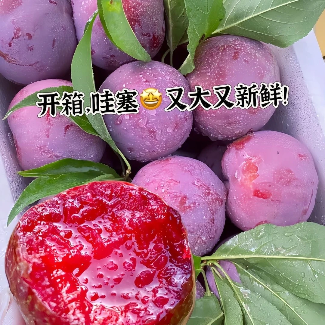 广西桂林红心银妃三华李新鲜现摘当季酸甜可口水果