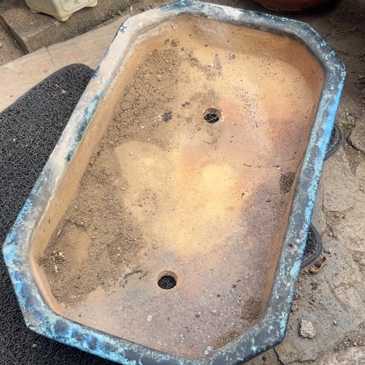 和****3我们都是好孩子呀打榜