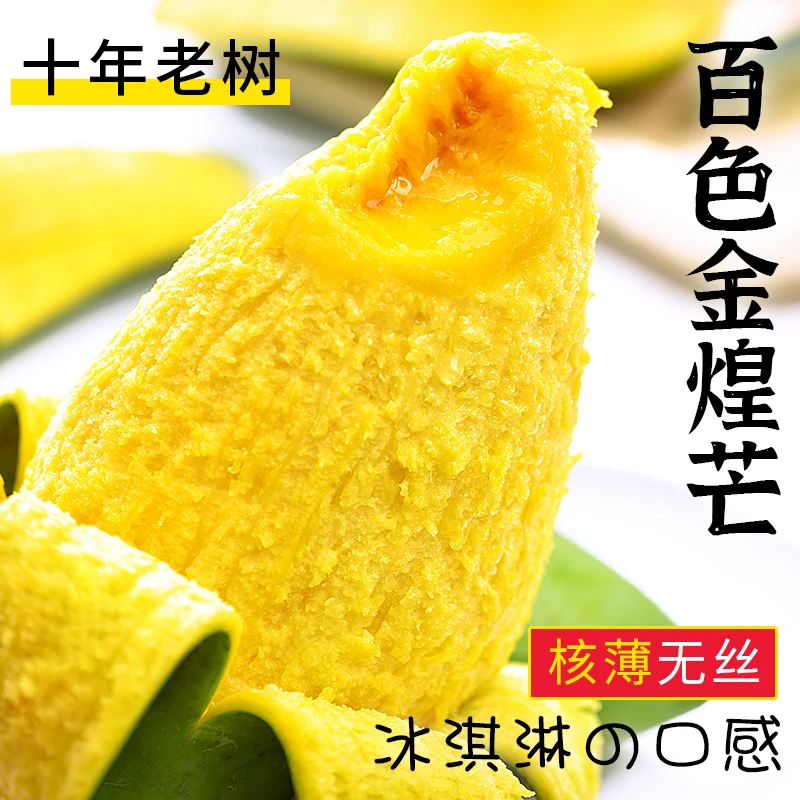 正宗广西百色金煌芒斤10芒果一级大果新鲜水果青甜黄皮水仙芒凯特