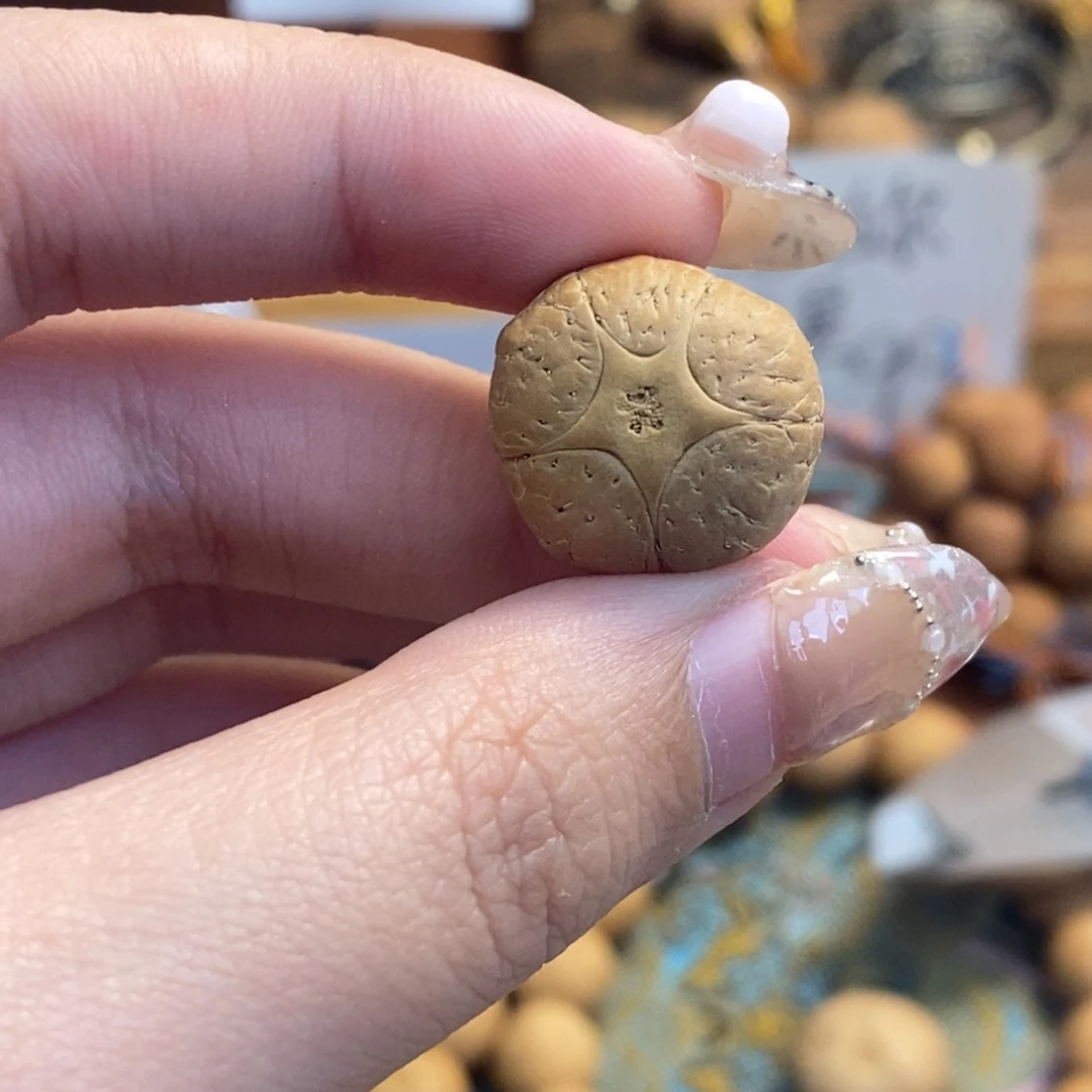 凤眼菩提吊坠五星