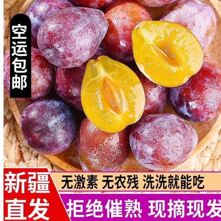 （达人专属）新疆产地直发正宗法兰西西梅现摘发货脆甜爽口顺丰空运