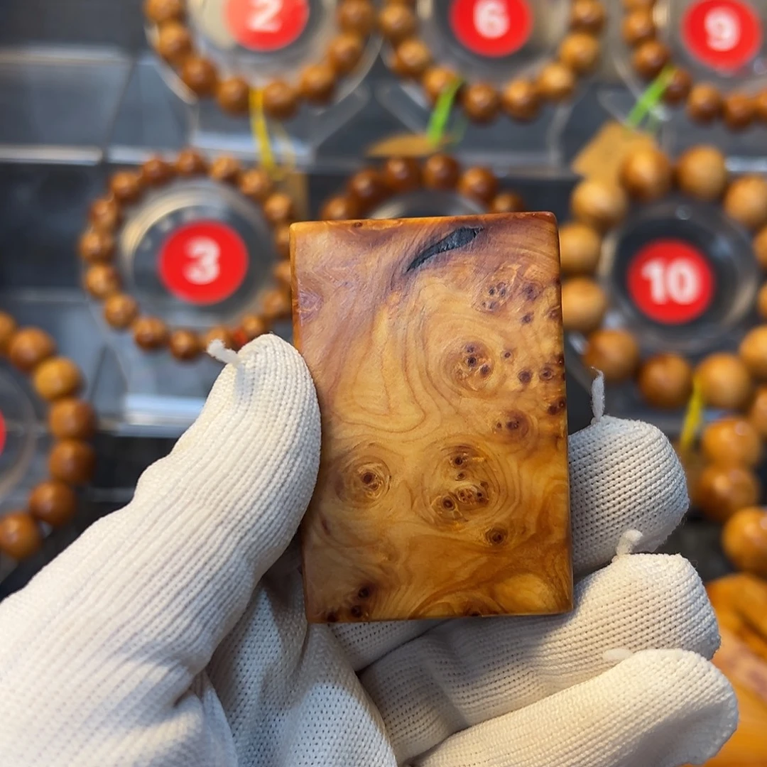 柏木（崖柏）太行崖柏