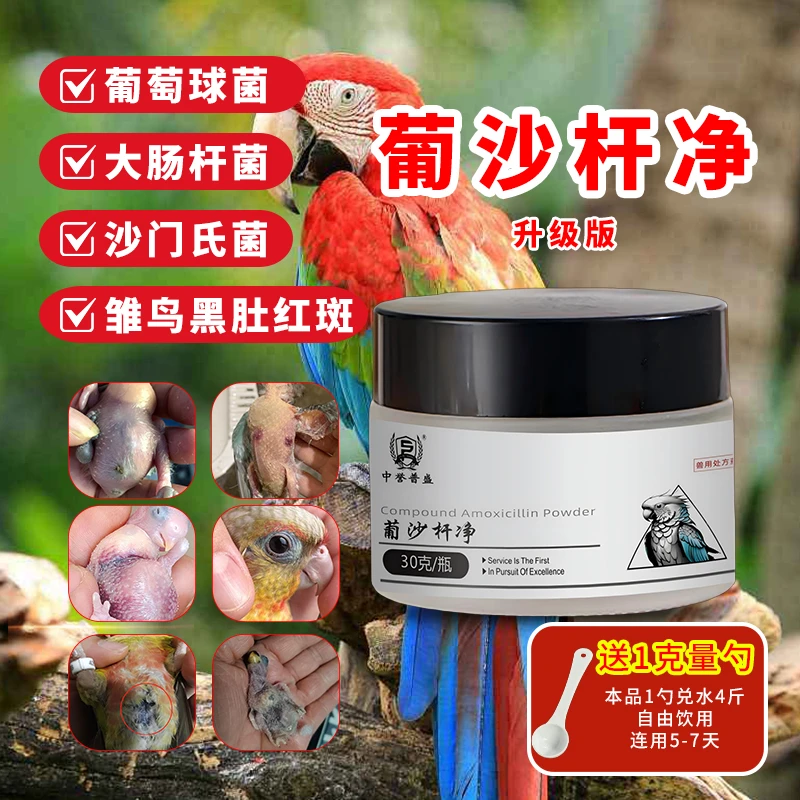 【葡沙杆净】30g/瓶 鹦鹉赛鸽鸟类养殖 葡萄球沙门氏可用 复配型