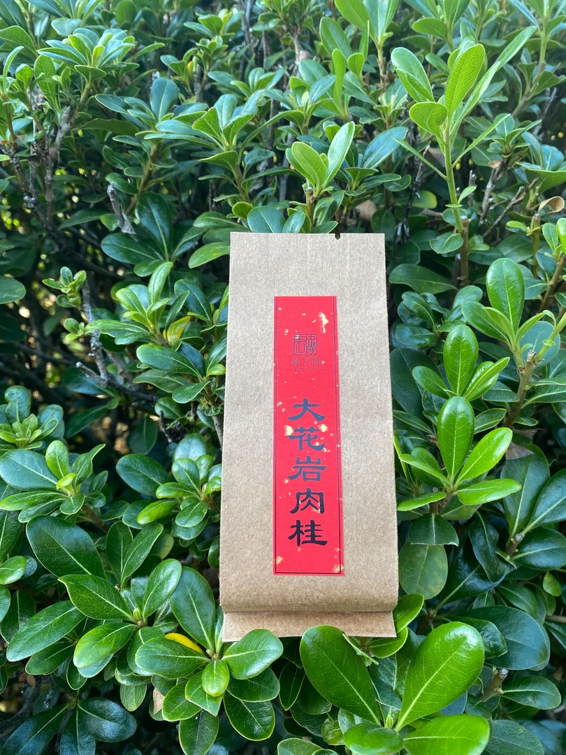 大花岩肉桂武夷山核心正岩茶